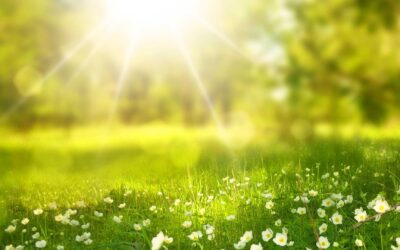 What Is Earthing & Why Is It So Important For Good Health?